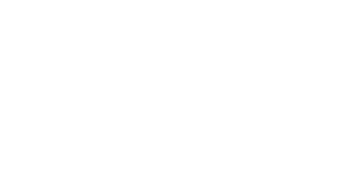 NoMásInmigraciónIlegalEnEspaña