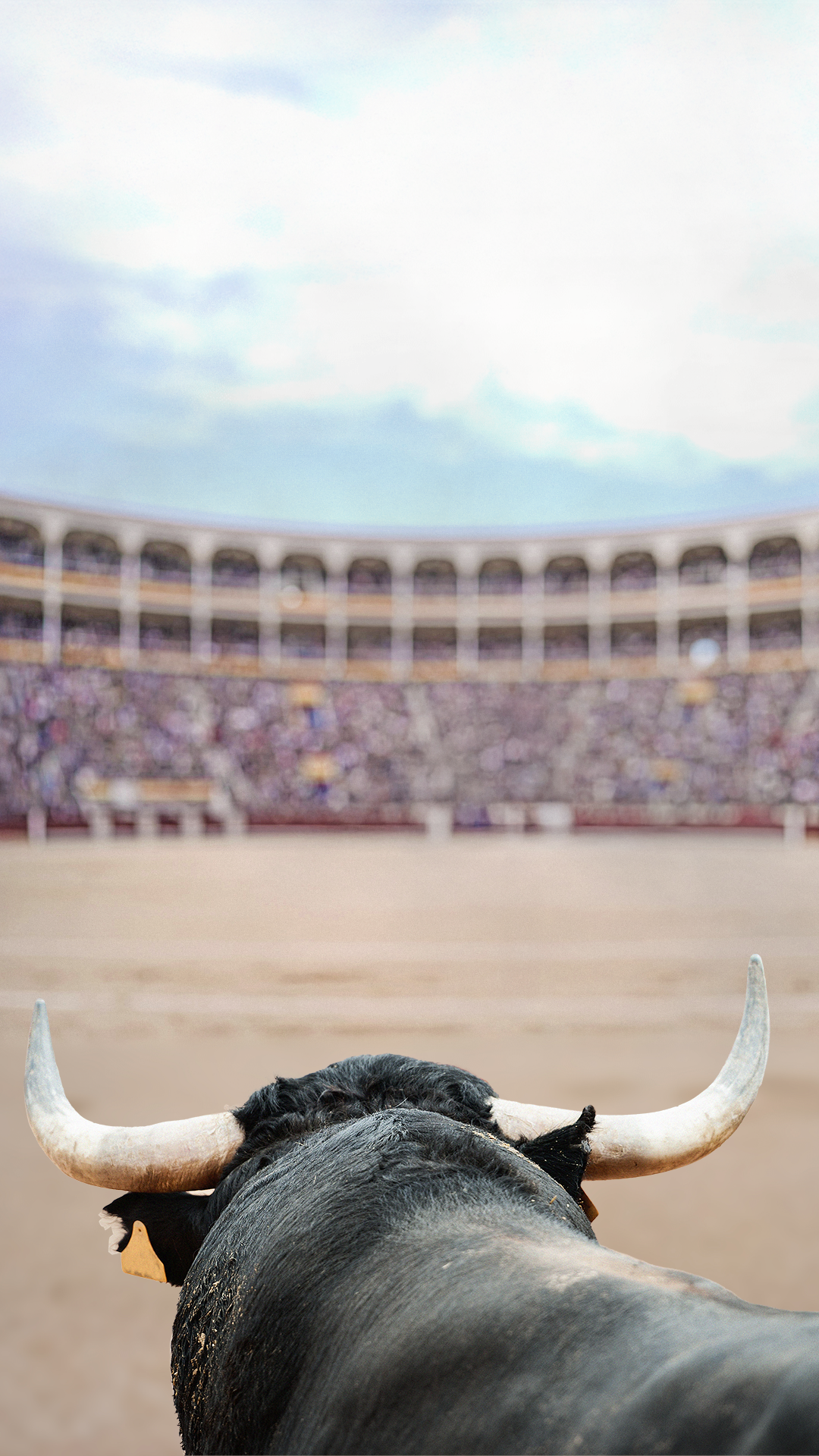 Toros movil fondo