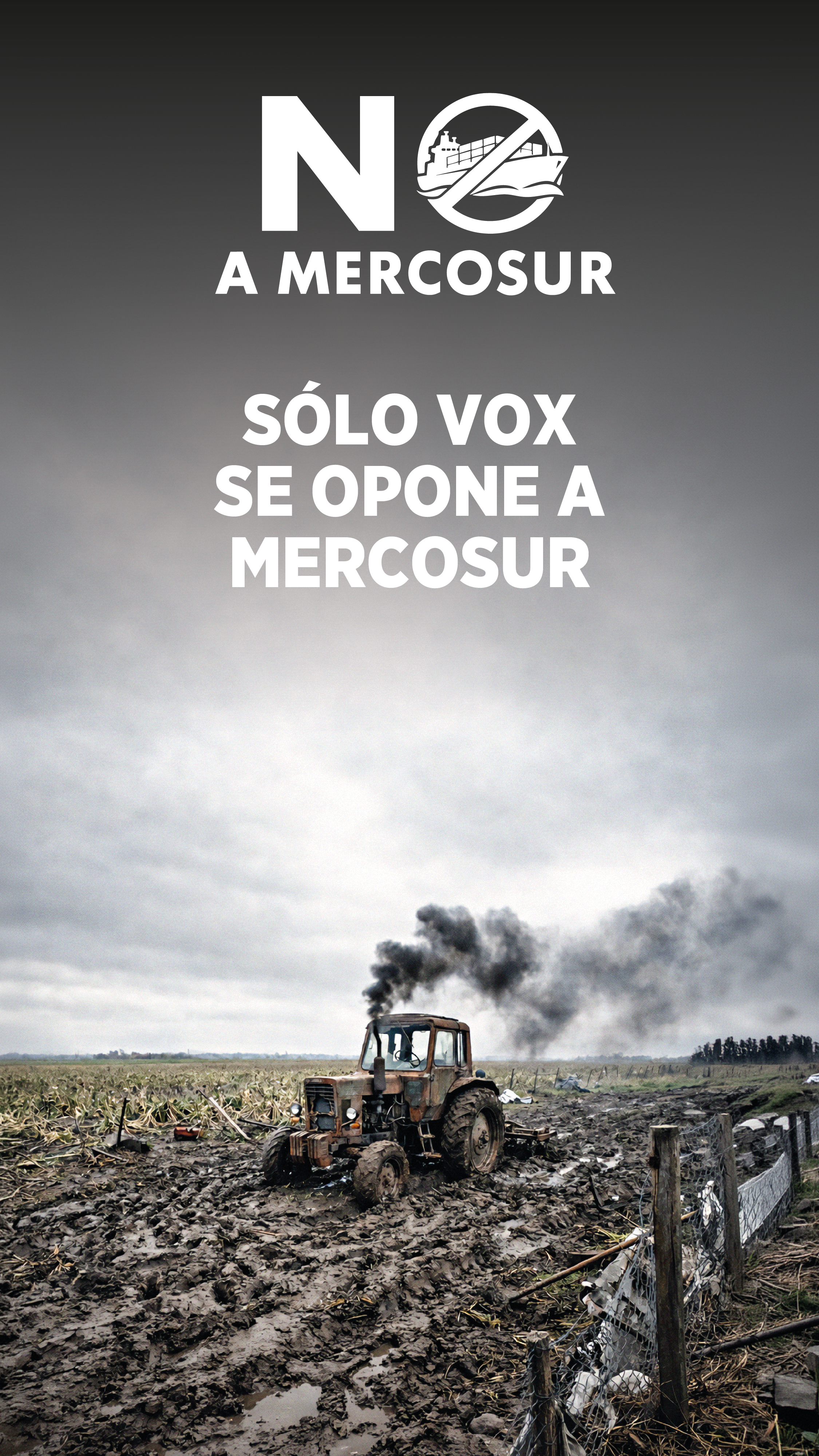 LANDING_PAGE_NO_MERCOSUR_MOVIL