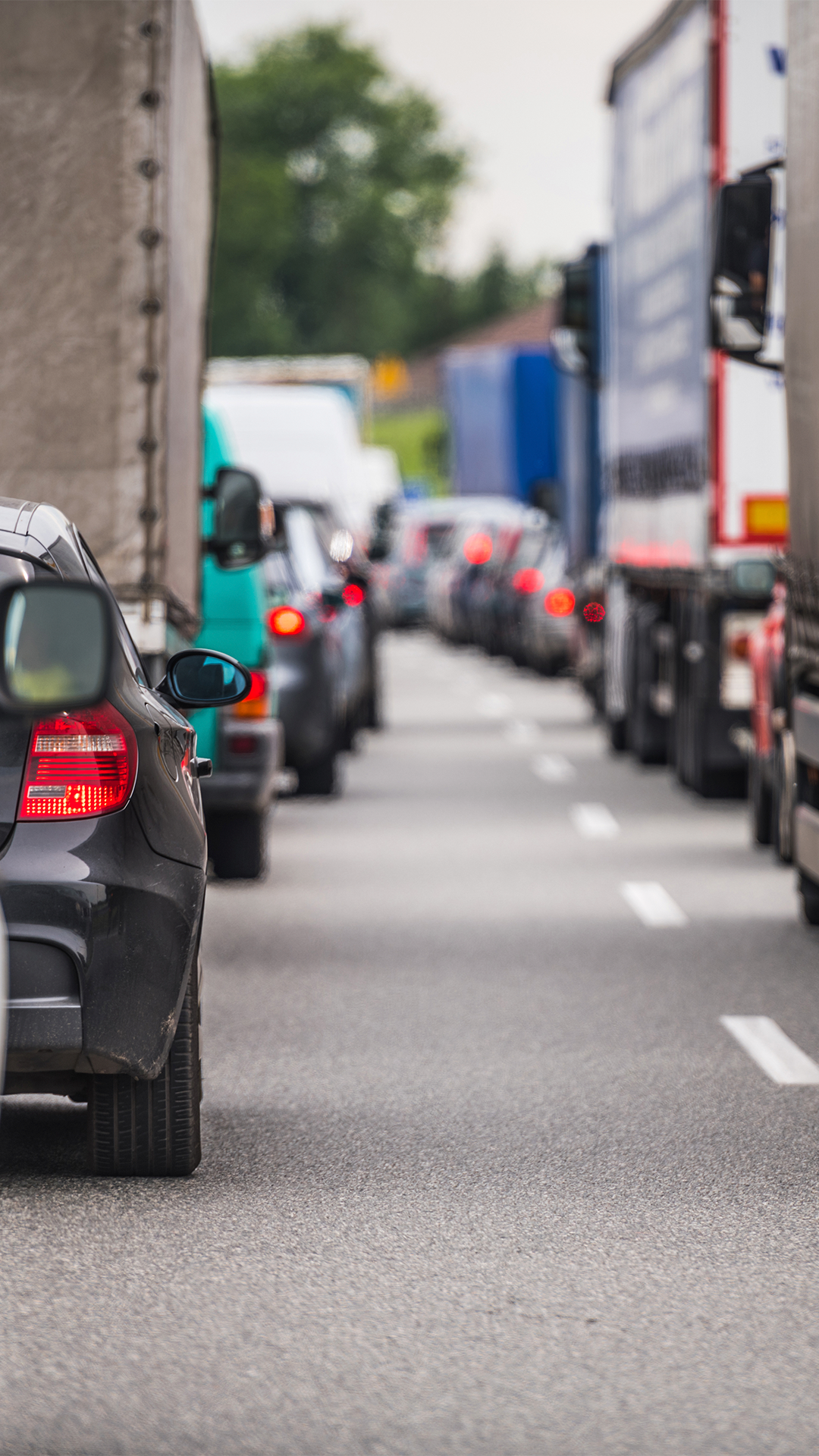 ZBE GERONA FOTO VERT